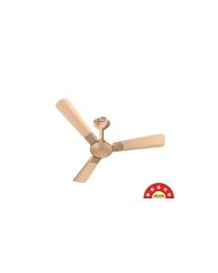 Enticer Prime BLDC+ Ceiling Fan
