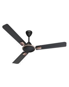 Exter Decorative Ceiling Fan