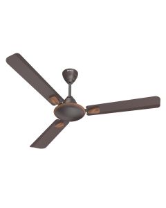 Exter Decorative Ceiling Fan